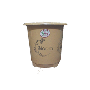 Ek Nazar Dustbin Bloom( XL)