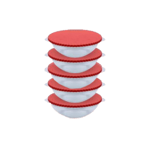 Berry Bisco Bowl Small Pack Of 5