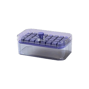Berry 2Pc Ice Tray With Storage Container