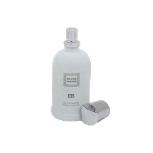 Elle Blake Perfume Men Silver Water 100ml