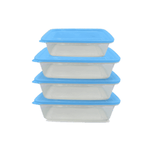 Berry 4Pc Small Storage Container