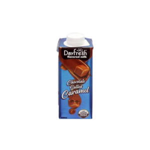 Day Fresh Chocolate Salted Caramel 225ml