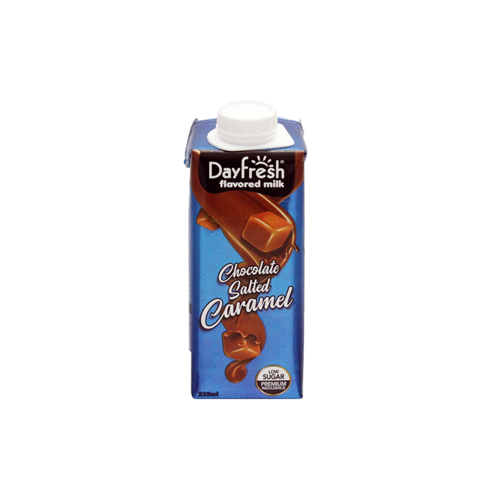Day Fresh Chocolate Salted Caramel 225ml