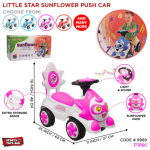 Little Star Sunflower Car