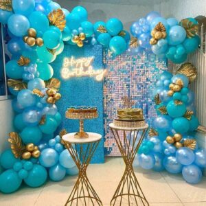 Bday Themes Party Setup Ekg