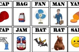 Flash Card 3 Letter Words(1/10)