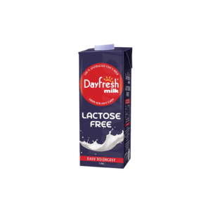 Day Fresh Lactose Free Milk 1L