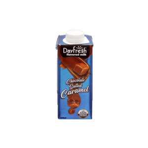 Day Fresh Chocolate Salted Caramel 225ml